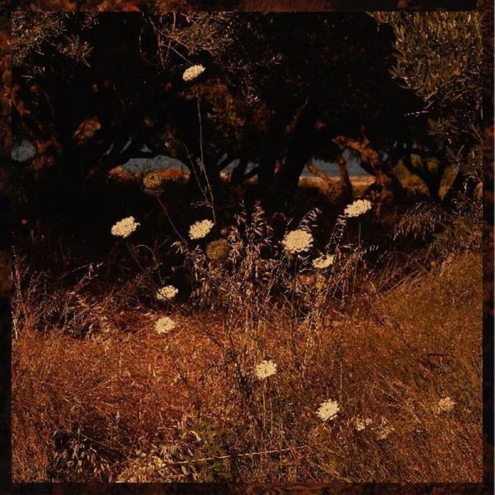 Szun Waves - Earth Patterns  LP LP